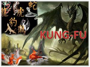 Kung-Fu 1