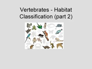 vertebrates - animal habitat