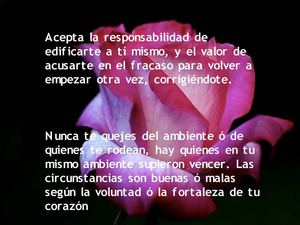 reflexiones-sobre-la-vida-milespowerpoints.com-1