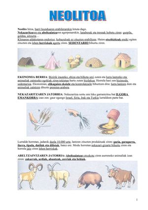 NEOLITOaren egokitzapena