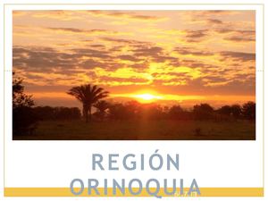 region orinoquia