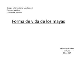 forma de vida de los mayas