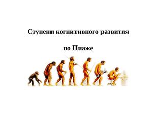 Ступени когнитивного развития по Пиаже