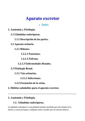 Aparato excretor