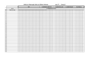 Grelha de observação diaria na sala de aula