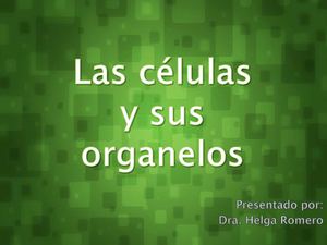 La célula y sus organelos