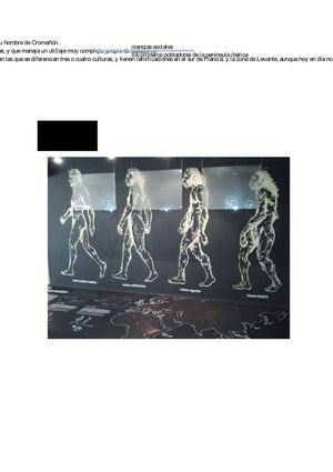 La prehistoria en Andalucía