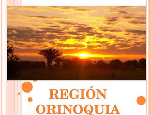 LA REGION ORINOQUIA