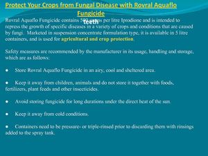 Protect Your Crops from Fungal Disease with Rovral Aquaflo Fungicide