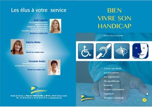 Guide handicap