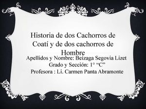 Historia de dos Cachorros de Coatí y dos Cachorros de Hombre
