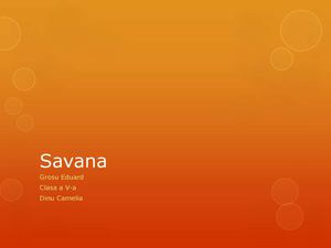Savana