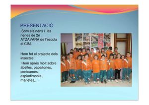Amb ulls d'insecte. El Cim 2n