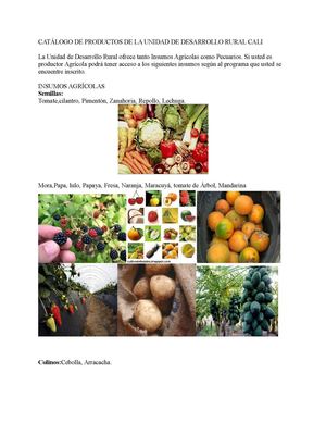 CATALOGO DE PRODUCTOS UNIDAD DE DESARROLLO RURAL