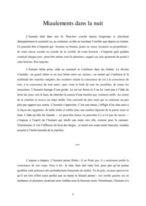 Miaulements dans la nuit (de Julien Noel)