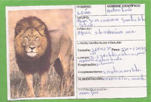 Los Animales Salvajes