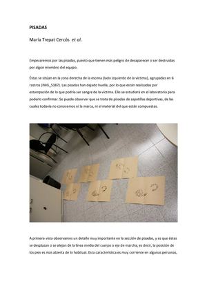 HUELLAS DE CALZADO (ITO) Criminalista UAB