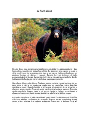 El osito Bruno