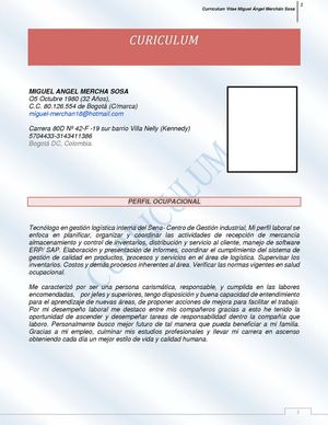 CURRICULUM MIGUEL ÁNGEL MERCHÁN