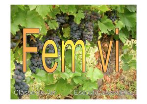 Fem vi. Cossetània 3r