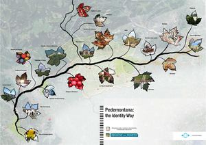 Pedemontana, un territorio da gustare