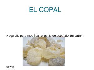  EL COPAL 