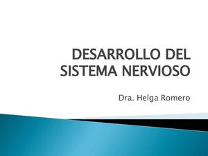 Desarrollo del sistema nervioso
