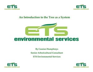 An Introduction to the Tree System