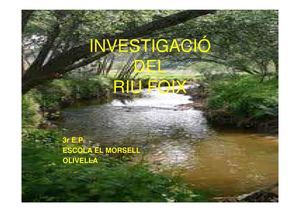 Investiguem el riu Foix. El Morsell 3r