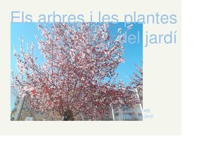 Els arbres i les plantes del jardí. Sant Jordi 4t