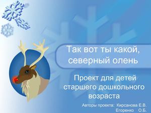 Так вот ты какой, северный олень