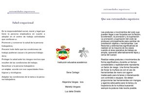 plegable salud ocupacional