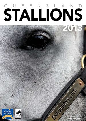 QLD Stallions Directory 2013