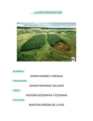 La deforestacion