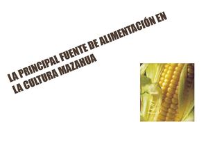 LA IMPORTANCIA DEL MAÍZ EN LA CULTURA MAZAHUA