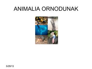 ANIMALIA ORNODUNAK