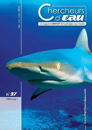 Chercheurs d'eau N°37