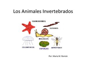 Animales vertebrados