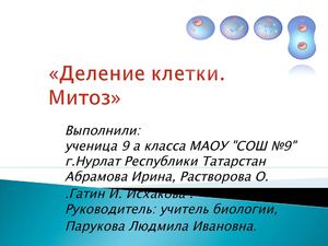 Митоз