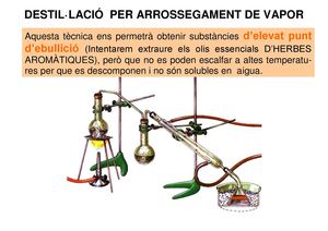 pràctiques exposició