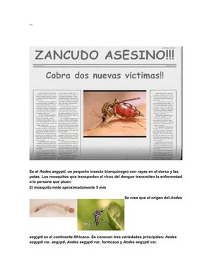 Vector del dengue