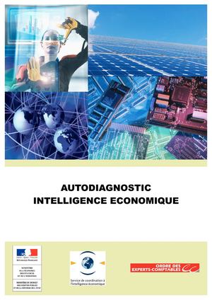 autodiagnostic intelligence économique