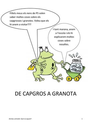 Dossier alumnes projectes tic 2013