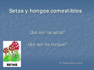 LAS SETAS