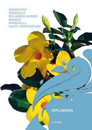 podere Luen_Dipladenia