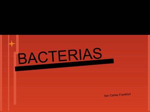 Entrada 2- bacterias (ilan)