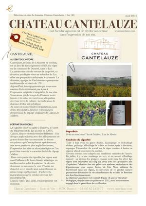 DP Chateau Cantelauze 2013