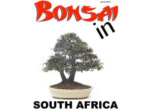 Bonsai in South Africa June/July 2013