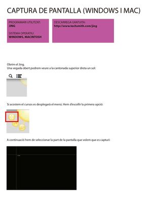 Captura de pantalla amb Jing