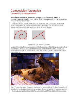 Composición fotográfica